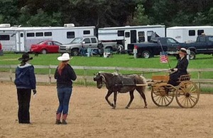 Lundberg-Pony-Drives-Mason-June-2011